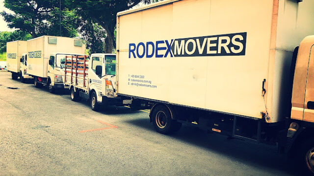 rodex movers1