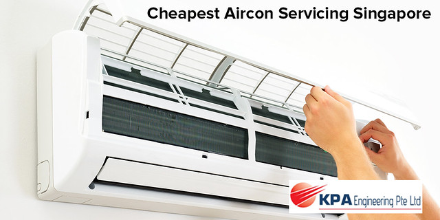 49491310676_7330bc647a_z