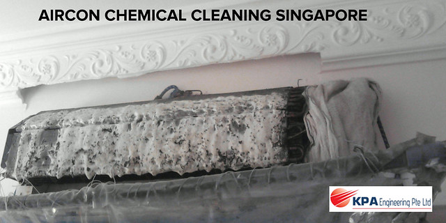 49514162803_2fdd54a6de_z