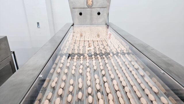 WhatsApp-Image-2024-10-23-at-09.34.07