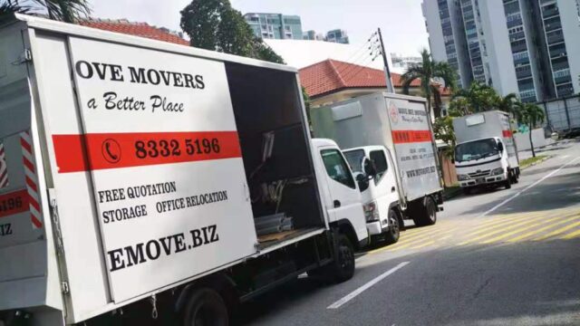 MOVE