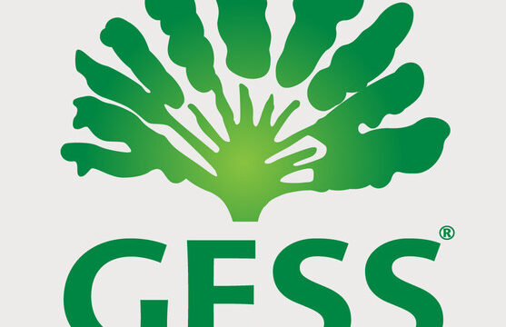 GESS-RGB Logo